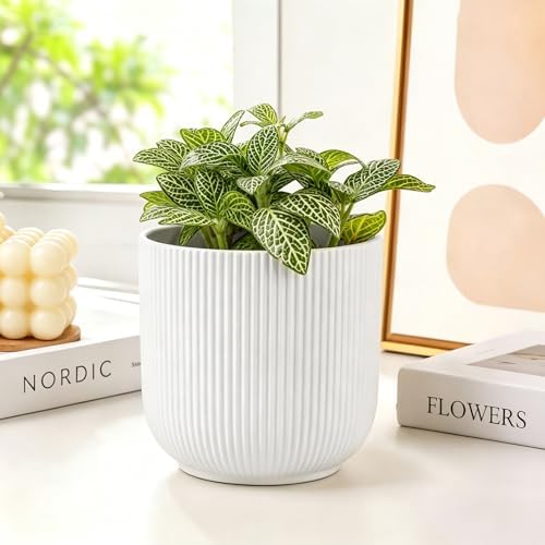Ceramic Pots for Plants Set of 3, 6+7+9 Inch Plant Pots with Drainage Holes, Modern Decorative Pots for Succulents Snake Plants Indoor Outdoor Home Office Garden Decor, White - Image 5