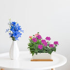 VILLCASE White Ceramic Succulent Flower Pots 2 Sets with Tray for Garden - Image 5
