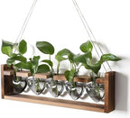 Plant Terrarium Hanging Propagation Stations Gift for Women by YYHglass