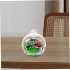 Xmas 12pcs Glass Globe Hanging Terrarium for Plants, Household Decor - Image 6