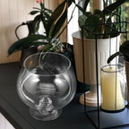 GANAZONO Clear Glass Goldfish Tank 17cm - Image 4