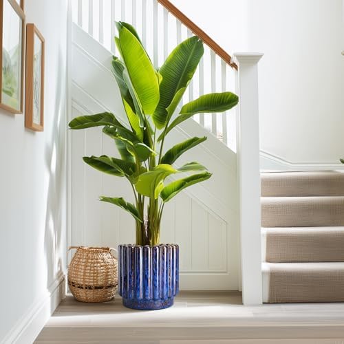 Ceramicfor Ceramic Planter, 9.6 Inch, Blue - Image 5