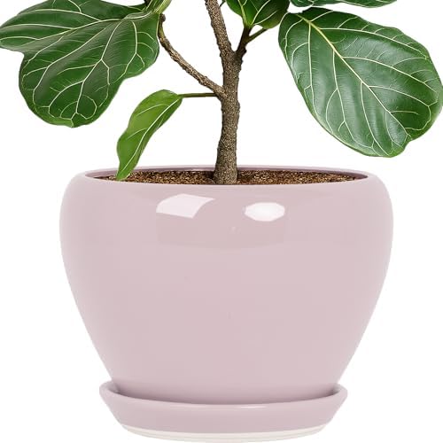 Deep Dream 10 Inch Plant Pot- Ceramic Planter Pot Round Plant Pots for Indoor Plants Outdoor Large Flower Pot with Drainage Holes & Trays, Pink by DeepDream
