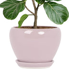 Deep Dream 10 Inch Plant Pot- Ceramic Planter Pot Round Plant Pots for Indoor Plants Outdoor Large Flower Pot with Drainage Holes & Trays, Pink by DeepDream