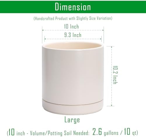D'vine Dev 2-Pack Ceramic Pots with Saucers, Oatmeal, 10 in, 94-V-E-8 - Image 3