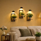Wall Plant Holder with Grow Lights, Picture Frame Plant Shelves (3, Brown) - Image 2