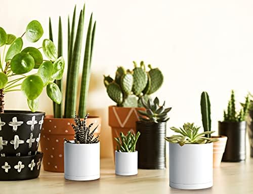 D'vine Dev 36-Pack Plastic Planter Pots, 2/2.5/3 in, White, 74-T-A - Image 3