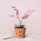 Terracotta Orchid Pots, 6 Inch Orchid Pot with Holes and Saucers 3 Pcs, Clay Orchid Planter Pots for Repotting, Terra Cotta Pot Large Bulk Flower Pot for Indoor Outdoor Promotes Air Circulation - Image 4