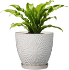 G EPGardening 8 Inch Ceramic Plant Pot with Drainage Hole and Saucer, White by GEPGardening