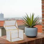Abaodam Creative Geometric Glass House Terrarium for Indoor Moss and Air Plants, Miniature Plant Display Box with Gold Frame, Tabletop Planter for Home Garden Office Decor - Image 5