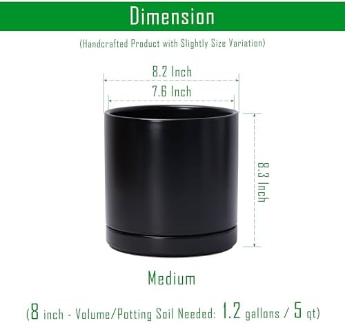 D'vine Dev 2-Pack Ceramic Pots with Saucers, Black, 8.2 in, 94-V-D-2 - Image 3