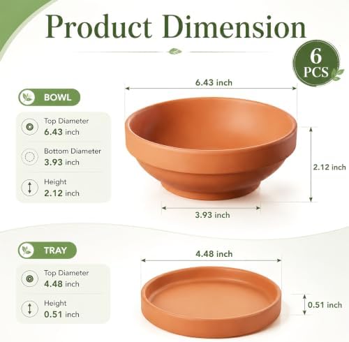 Laerjin Terracotta Pots, 6.43 Inch Shallow Planters with Saucers, 6 Pack - Image 3