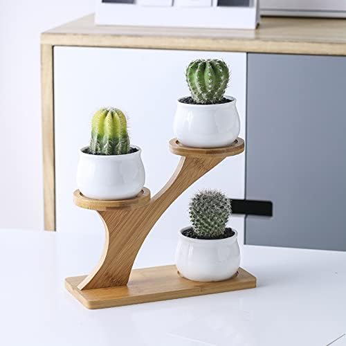 HASMI Plant pots 1 Set Ceramic Owl Garden Pots Pumpkin Flowerpot Nursery Succulent Plant Pot 3 Bonsai Planters with 3-Tier Shelf Flower Pots (Color : 1) - Image 6