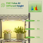 FREELICHT Plant Stand with Grow Light 5-Tier, 4×10W 5000K, 15.7x11.8x61.5IN - Image 4