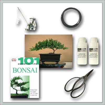 Bonsai Tree Juniper"Do It Yourself" Kit - Bestseller from Joebonsai by Unknown