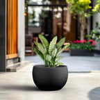 Kante Modern Home Minimalist 14.8" Dia Black Concrete Bowl Planter - Image 4