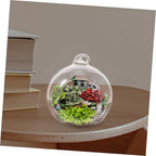 12pcs Hanging Glass Globes Terrarium for Micro Landscape Crafts - Image 5