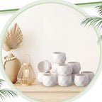 24 Pack 2.5 Inch Small Succulent Pots, White, Fashion - Image 6