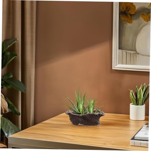 Vintage Creative Cement Tree Root Planter for Indoor Succulents - Image 7