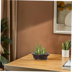 Vintage Creative Cement Tree Root Planter for Indoor Succulents - Image 7