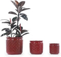 3 PCS Ceramic Planter, 9/12/15 Inch Deep Cylinder Planter with Drainage Hole, Large Plant Pots for Tree Foliage - Red by Unknown