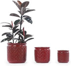 3 PCS Ceramic Planter, 9/12/15 Inch Deep Cylinder Planter with Drainage Hole, Large Plant Pots for Tree Foliage - Red by Unknown