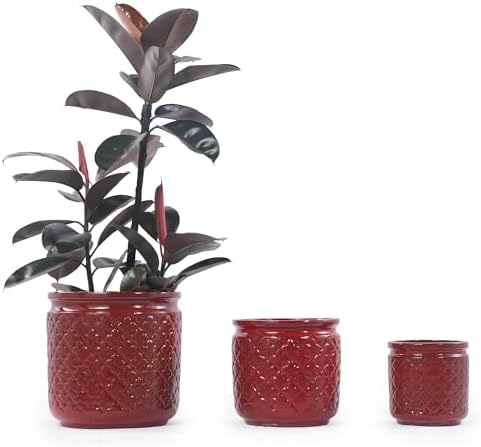 3 PCS Ceramic Planter, 9/12/15 Inch Deep Cylinder Planter with Drainage Hole, Large Plant Pots for Tree Foliage - Red by Unknown