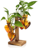 Plant Terrarium Propagation Stations with Wooden Stand by CYZglass