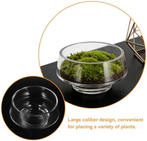 MAGICLULU Wide Opening Glass Terrarium for Succulent Plants and Indoor Plants, Handcrafted Elegant Desktop Glass Planter with Crystal Display, for Tabletop Terrarium and Workspace - Image 3