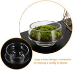 MAGICLULU Wide Opening Glass Terrarium for Succulent Plants and Indoor Plants, Handcrafted Elegant Desktop Glass Planter with Crystal Display, for Tabletop Terrarium and Workspace - Image 3