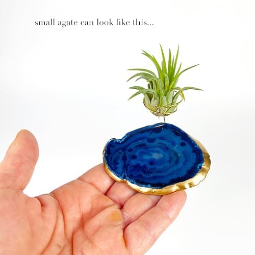 3 Small Blue Agate Geode Crystal Tillandsia Air Plant Holders - Includes Live Plant and Gift Box - Image 6