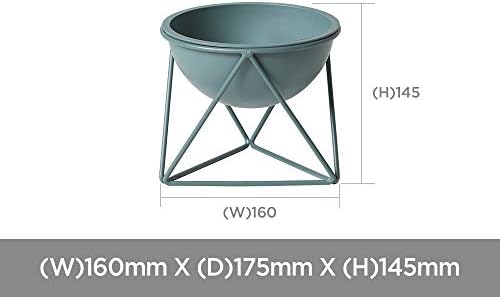 ルームアンドホーム Room and Home Pot Cover, Stand, Decorative Plants, Gardening, D Type, Green, Small, 6.3 x 6.9 x 5.7 inches (16 x 17.5 x 14.5 cm) - Image 5