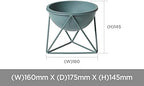 ルームアンドホーム Room and Home Pot Cover, Stand, Decorative Plants, Gardening, D Type, Green, Small, 6.3 x 6.9 x 5.7 inches (16 x 17.5 x 14.5 cm) - Image 5