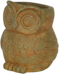 GROWSCAPE Cement Buddies Animal Planter - Cute Desk Decoration - UV Coated Animal Vase w/Removable Drain Plug - Succulent Planter for Indoor/Outdoor Use (Owl Planter, Rust, Large) by GROWSCAPE