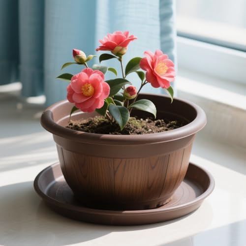 FUNSUEI LAUYUT 24 Pack 12 Inches Plant Saucer Drip Trays, Suit for Pots Less Than 10 Inches Bottom Diameter, Thick Brown Plastic Plant Trays, Round Plastic Drip Trays for Indoor and Outdoor Plants - Image 5