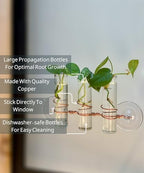 3 Lily Window Plant Propagator- Window Propagation Station with Removable Glass Test Tubes for Indoor Clippings, Cut Flowers, Herbs, Succulents | Home Decor | Plant Lover Gift (3 Lily) - Image 2