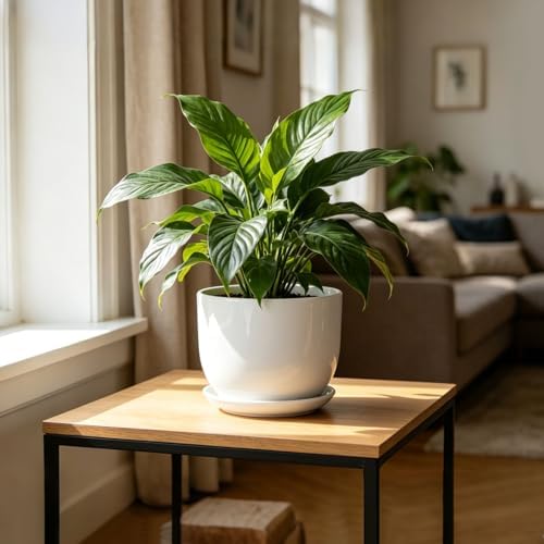 8 Inch Ceramic Plant Pot,Ceramic Planter,White - Image 5