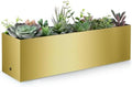 17" Large Stainless Steel Planter Box with Drain Holes and Water Reservoir, Rectangle Succulent Trough Planter Pot for Indoor Outdoor Windowsill, Table Decor (Brushed Gold) by Sanbege