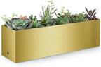 17" Large Stainless Steel Planter Box with Drain Holes and Water Reservoir, Rectangle Succulent Trough Planter Pot for Indoor Outdoor Windowsill, Table Decor (Brushed Gold) by Sanbege