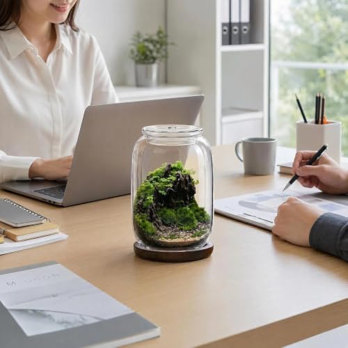 Glass terrariums for Plants .Venus Fly Trap Terrarium jar with Lid and Base. for Succulents, Moss.Indoor Home Decor.Mini Garden Planter - Image 6