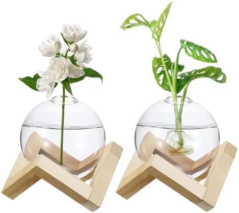 M METERXITY 2 Pack Glass Planter Terrarium with Wooden Stand, Desktop Plant Propagation Station Bulb Vase for Hydroponic Plants Propagation/Home Garden Decor/Plant Lover [Transparent] by MMETERXITY