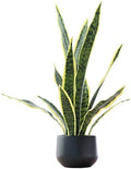 Bird Fiy Artificial Snake Plant 22.5" Faux Agave Fake Sansevieria Artificial Potted Plants for Indoor and Outdoor Home Office Décor by BirdFiy
