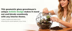 Glass Flower Pots Geometric Terrarium Planter Container Air Plant Display Air Plant Containers for Succulents Balcony Tabletop Miniature Fairy Garden Modern Decor Terrarium Large - Image 7