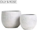 Olly & Rose Ceramic Cream Gold Plant Pot Set 2-6.8" and 5.5" Indoor Planters Cement Outdoor Flower Pots - Image 7