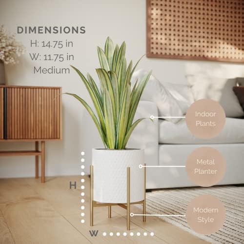 EverNest Claire Mid-Century Modern White Planter and Stand, Indoor Plant Pot, SelectBase, Minimalist Aesthetic, Home Decor for Plants - (Gold Base, Medium) - Image 2