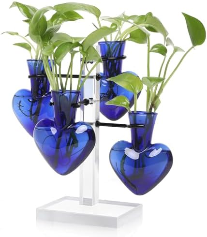 Plants Propagation Stations Plant Terrarium Kit Gift for Women by YYHglass