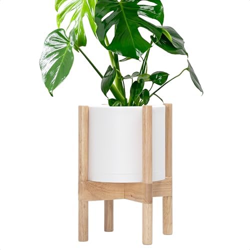 D'vine Dev Plastic Pot with Natural Wood Stand, White, 8 in, 55-C-J-1 by DvineDevPlanterPotsandStand