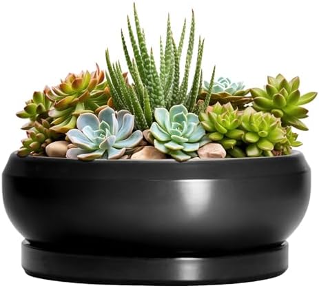 Succulent Planters 8 Inch - Ceramic Bonsai Pots for Indoor Outdoor, Round Succulent Pots with Drainage Hole and Saucer, Modern Shallow Planter Bowl, Garden Home Decor, Birthday Gifts, Black by EPFamily