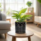 Eightpot Ceramic Plant Pots - 6 Inch Ceramic Planter for Indoor Outdoor, Round Flower Pots with Drainage Hole and Plant Saucer, Boho Decorative Small Planter, House Decor, Gifts for Gardeners, Black - Image 6