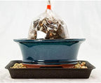 1 Pcs 6.25" Oval Green Stain Bonsai / Succulent Pot + Soil + Tray + Rock + Mesh Kit by Unknown